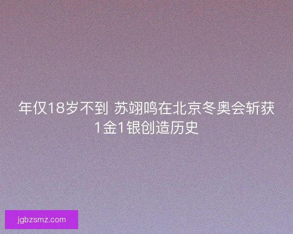 年仅18岁不到 苏翊鸣在北京冬奥会斩获1金1银创造历史